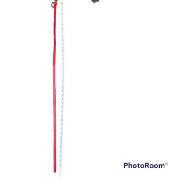 Forever 21 Women’s Skinny Red Belt. Size S/M - Picture 5 of 6